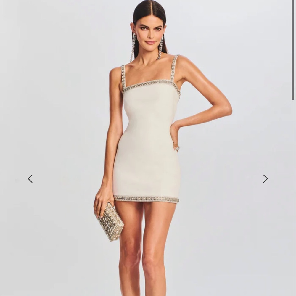 NWT Retrofete Dress